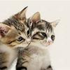 oneoktlove