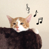 いおり学長の音楽準備室