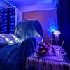 鯨の眠る家
