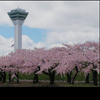 gardencity