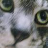 sababou