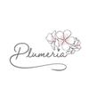 　 Plumeria