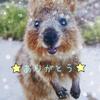 ころちゃん
