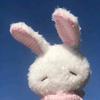 うさぎ原うさ