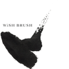 WiSH BRUSH