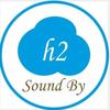 h 2