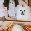 まい フリーランス