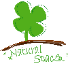 naturalspace_mami｡