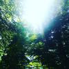 Peaceful light