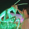 アイスはラムネ派