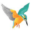 birder
