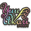user