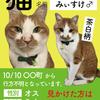 neko_pos