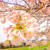 Wonderful10ve