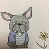 てんす犬