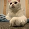 いたく