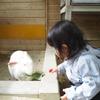 南野由佳