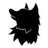 kichi_lily