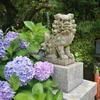 何にするか悩み中