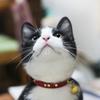 白井 あん