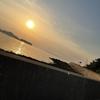 山とう