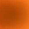 。なし