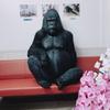 スーパーゴリラ