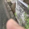 吉野家いりびたり