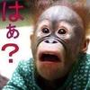 貝ひも