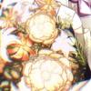 血溜まりのなかの綿菓子