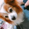 nachi0318