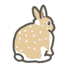 うさぎの足音