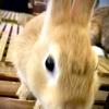 ハッピーむかい