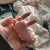 助産師にはまちゃん