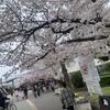 けんはし
