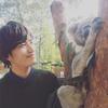 Bob君