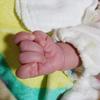 おもちこ