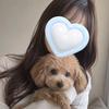 お喋りないぬさん