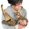 インド✨️猫好きタロット占い