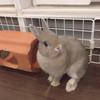 田澤 凛