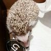 カズマ♪