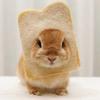 うさつくちゃん