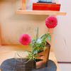 souju_flower
