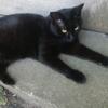 介護福祉士ふくたろう