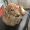 陽だまり部屋