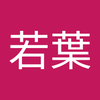 谷本 若葉