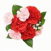 spanishflower