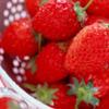 strawberry0915