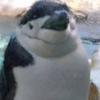 みちなが葵
