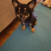 ユウキのどごし